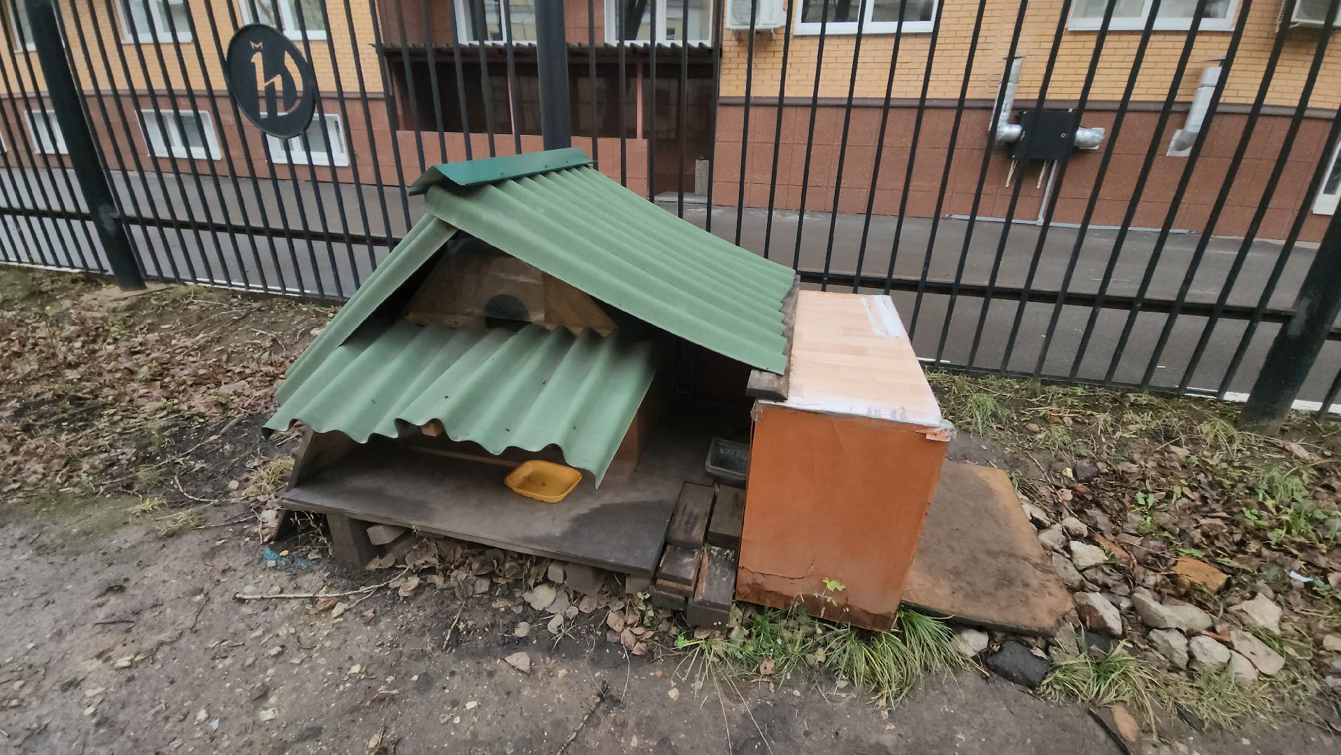 долгопрудный, кошкин дом, коты, крысоловы,