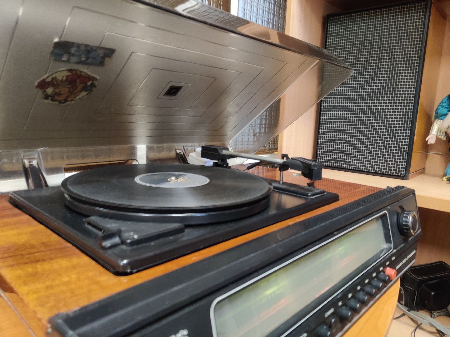 красноармейск, г.о. пушкинский, грампластинка, коллекция, библиотека,