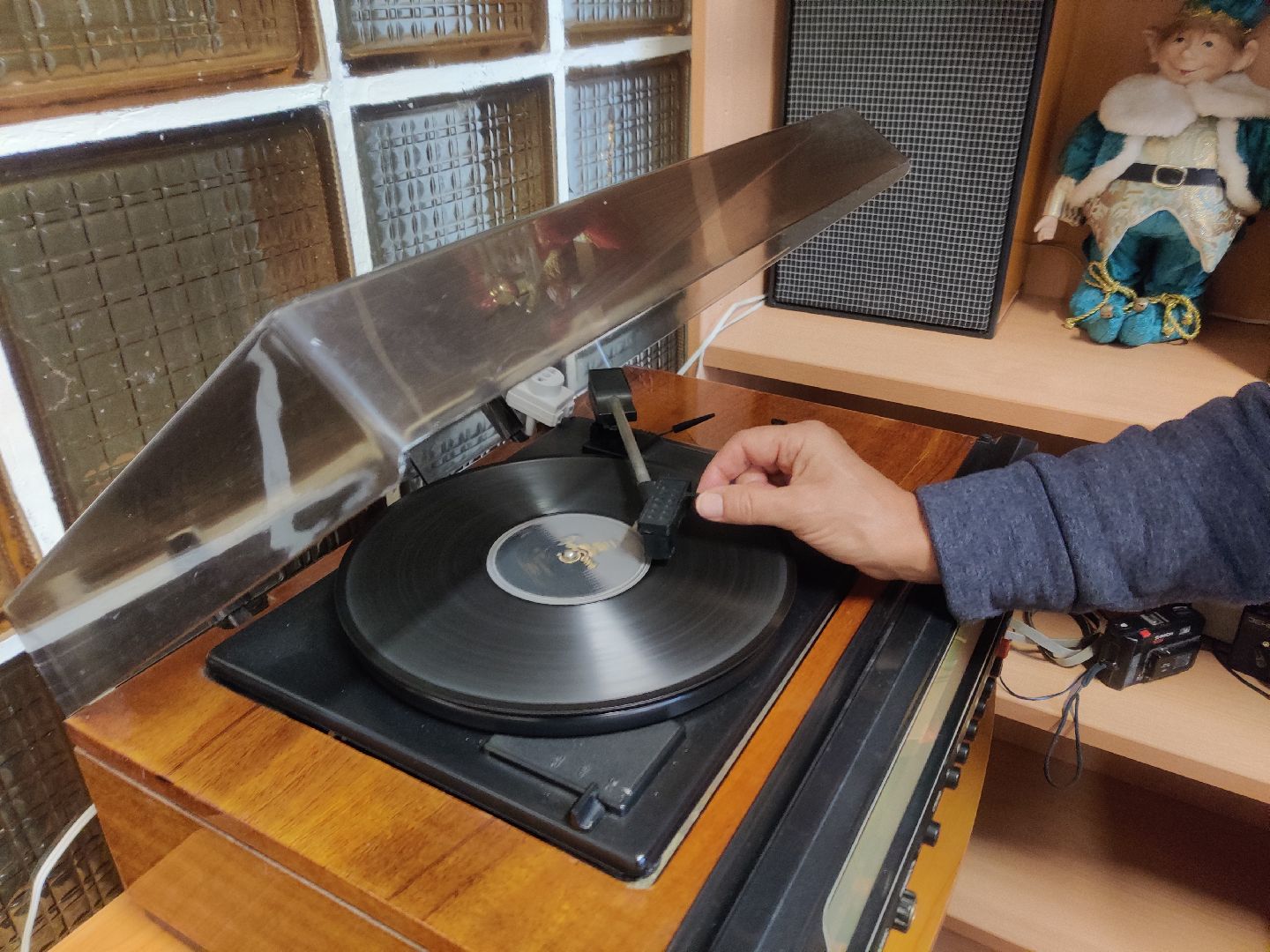 красноармейск, г.о. пушкинский, грампластинка, коллекция, библиотека,