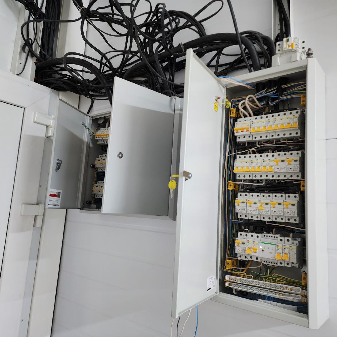 Егорьевск, пегас, дети, Подмосковье, московская область,