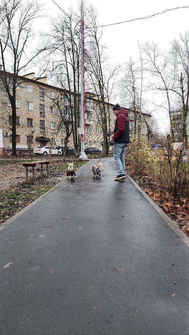благоустройство, благоустройство дворов, программа губернатора, электросталь, жители, жители города, детская площадка, парковка, парковки, парковка у дома,