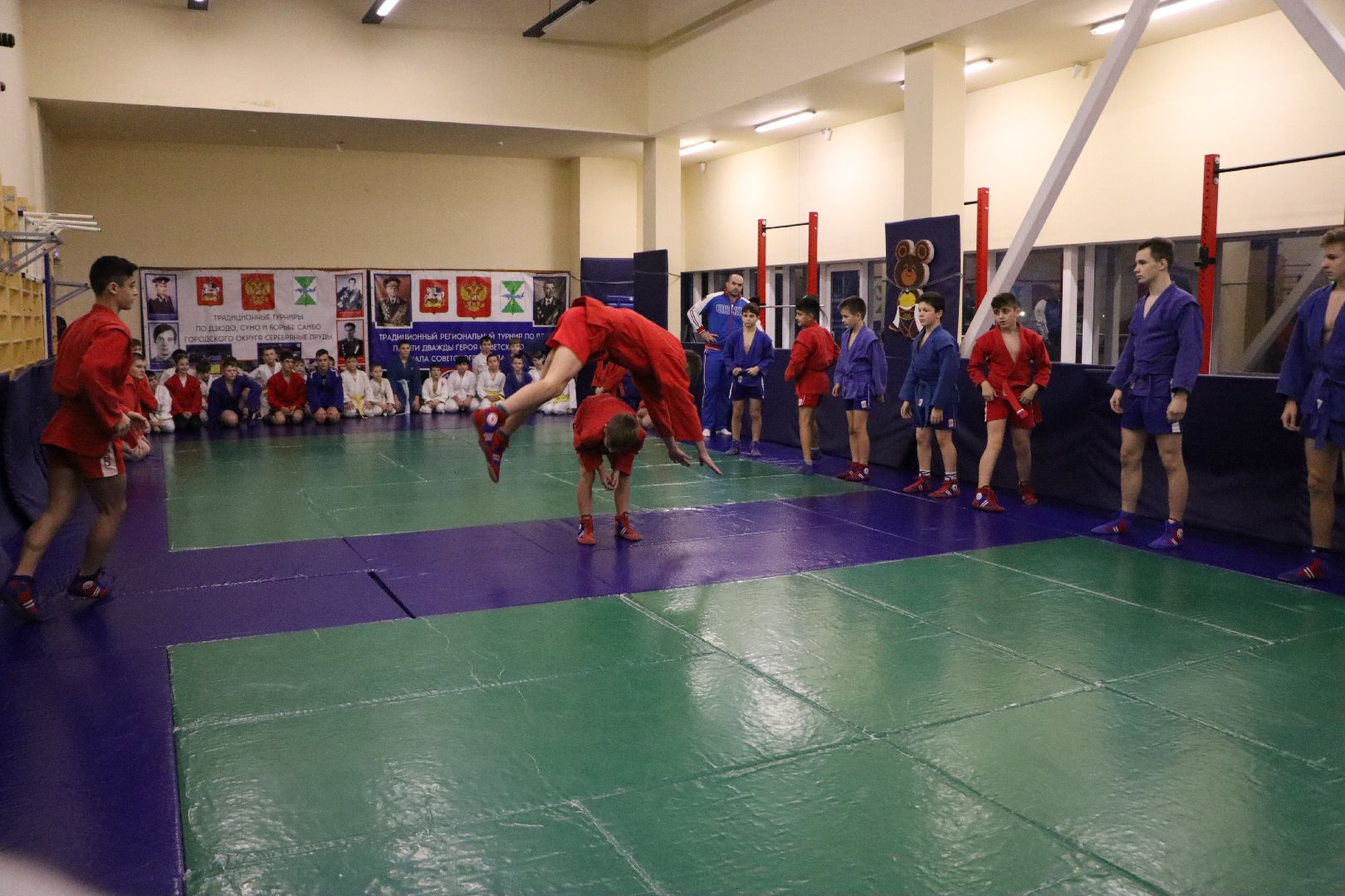 спорт, самбо, самбо 85, Серебряные Пруды,