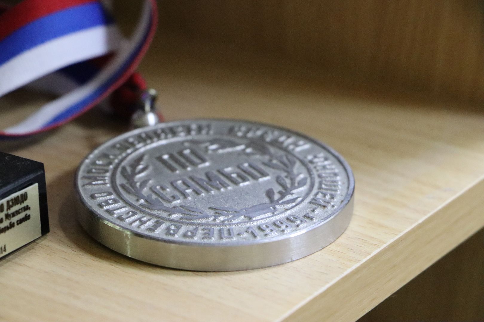 спорт, самбо, самбо 85, Серебряные Пруды,