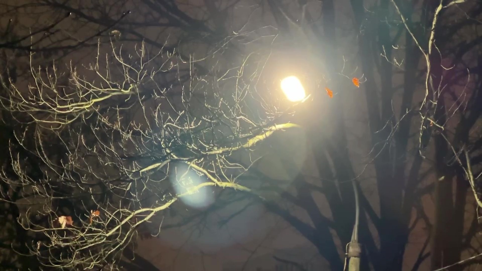 Реутов, медицина, больница, освещение, фонари, лампы,