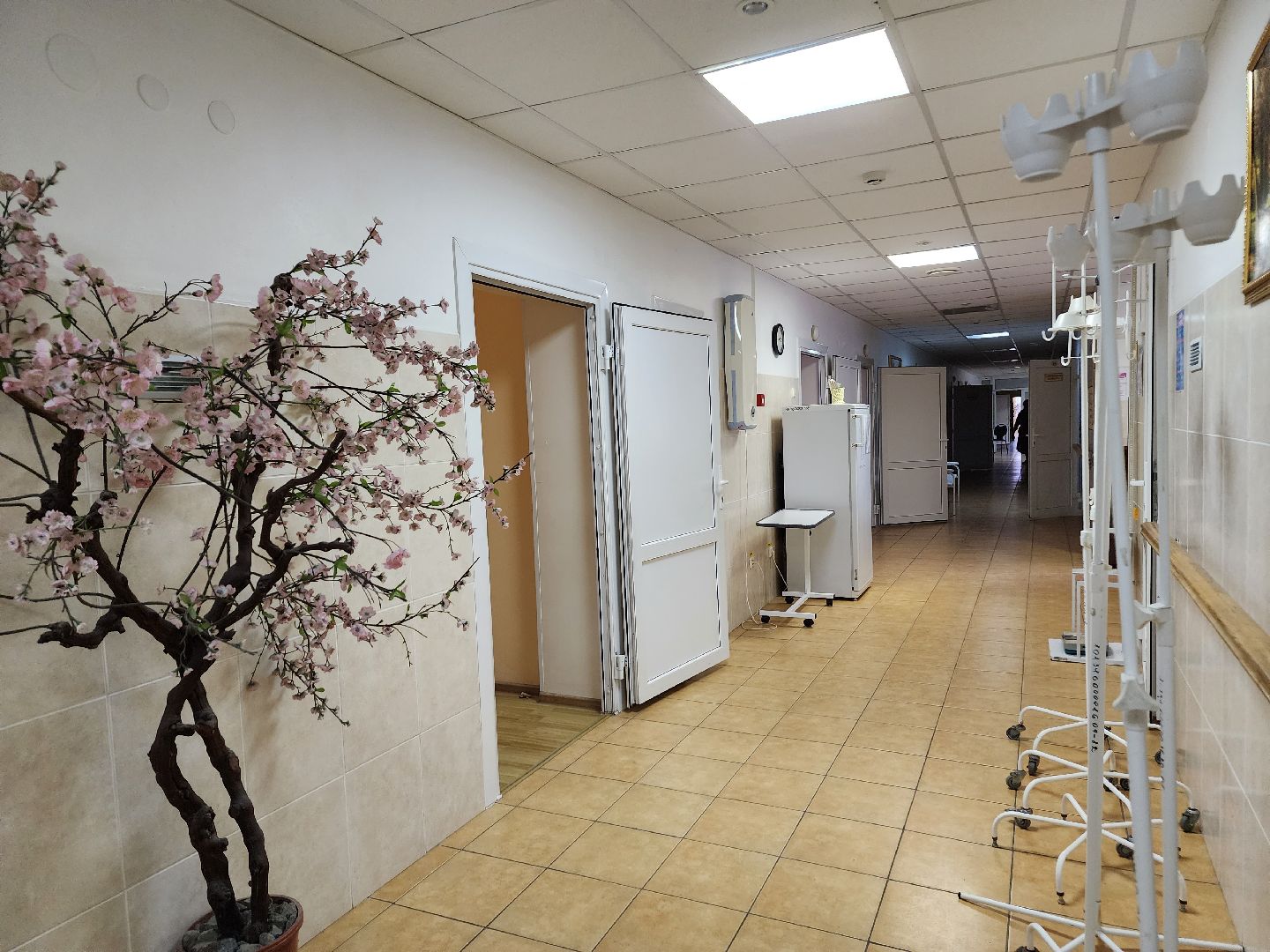 Рентген, Цифровое оборудование, больница, павловская слобода, ремонт больницы,