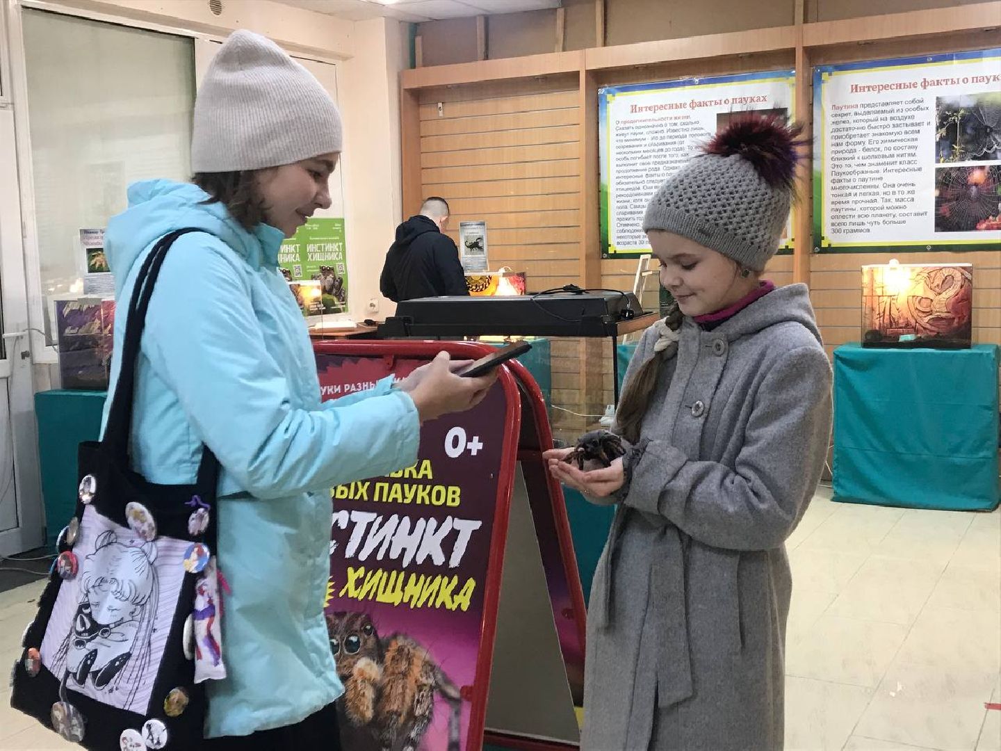 Егорьевск, пауки, выставка, подмосковье,