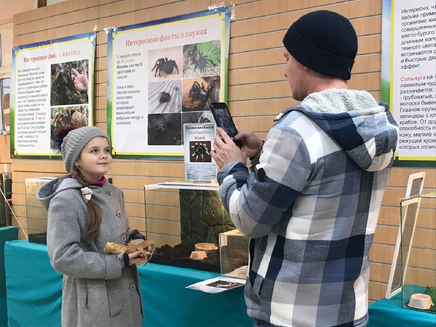 Егорьевск, пауки, выставка, подмосковье,