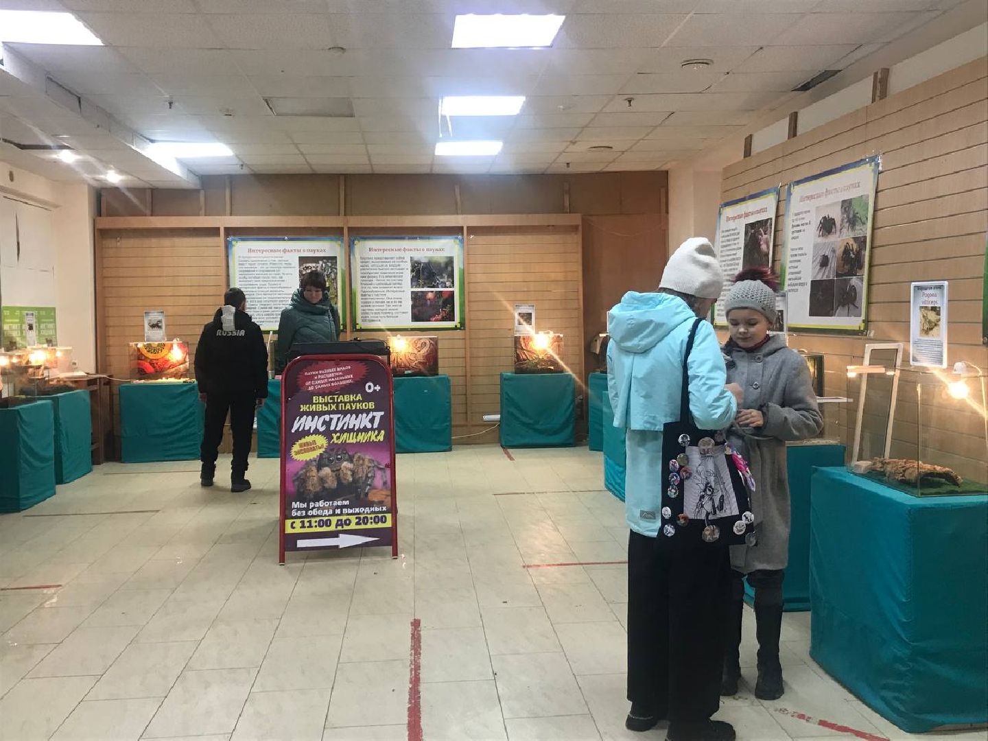 Егорьевск, пауки, выставка, подмосковье,