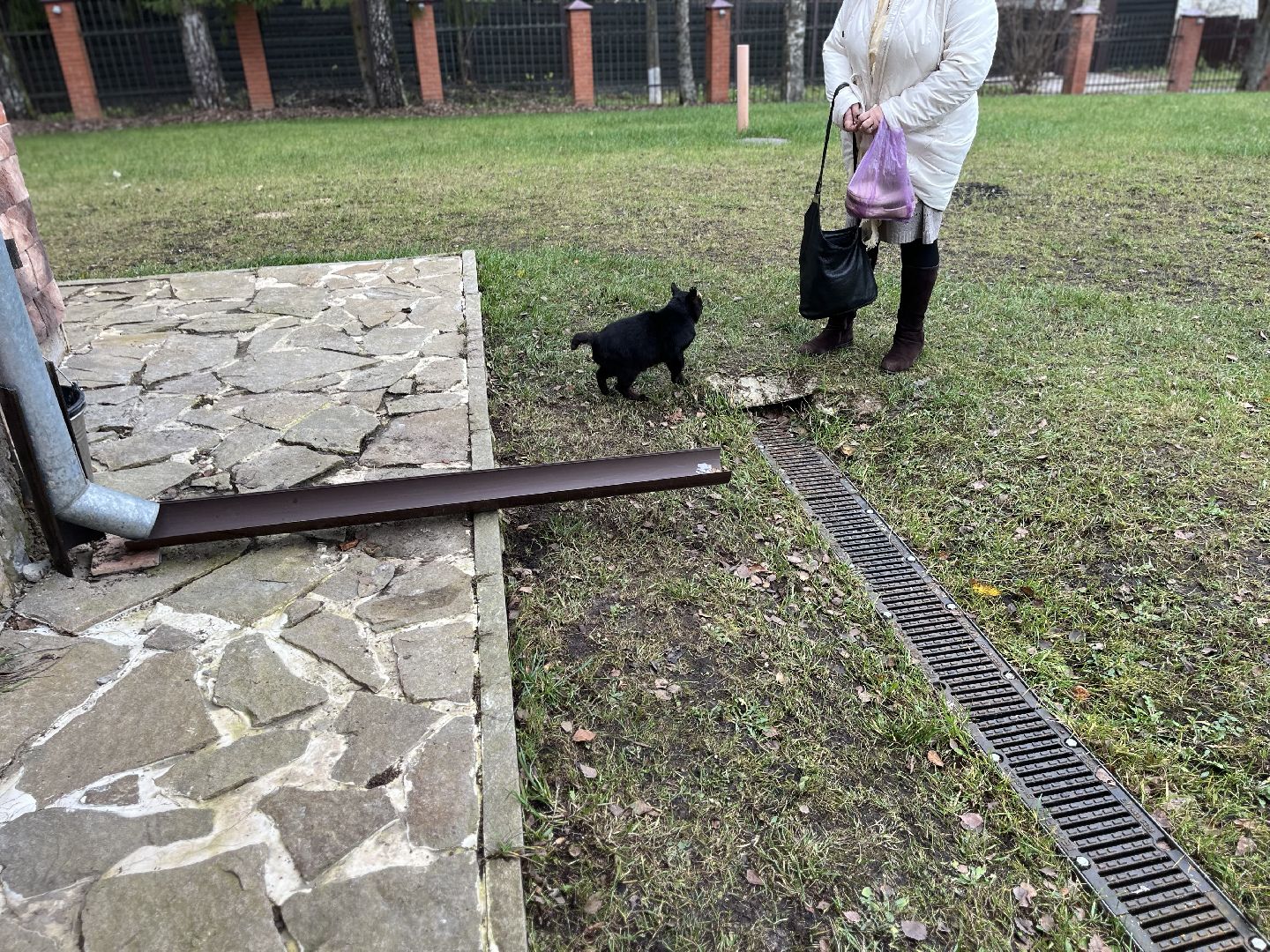 Шаховская, кот, черный кот, церковь, храм, храм всех святых,