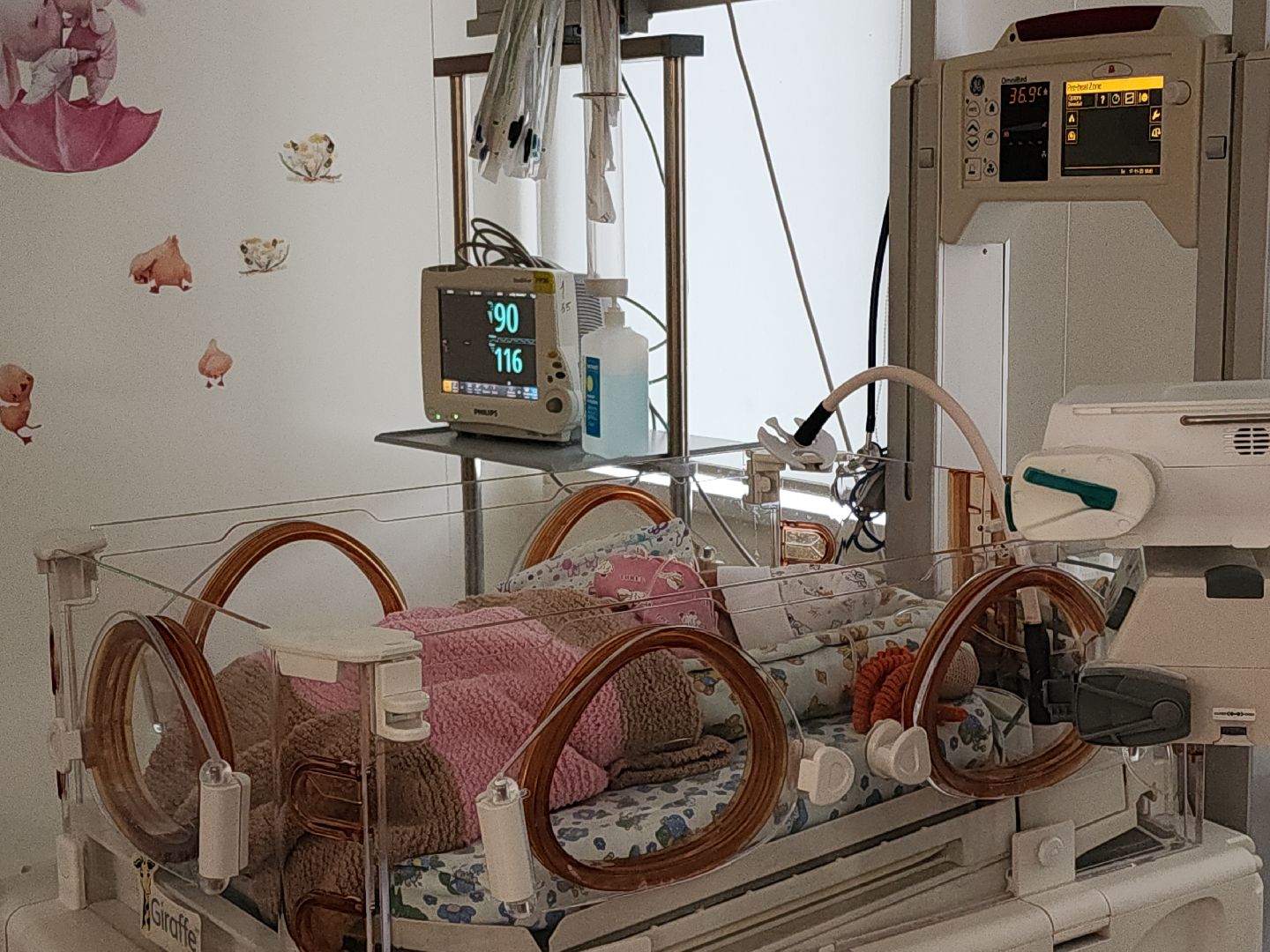 коломна, медицина, коломенский перинатальный центр, день недоношенного ребенка,