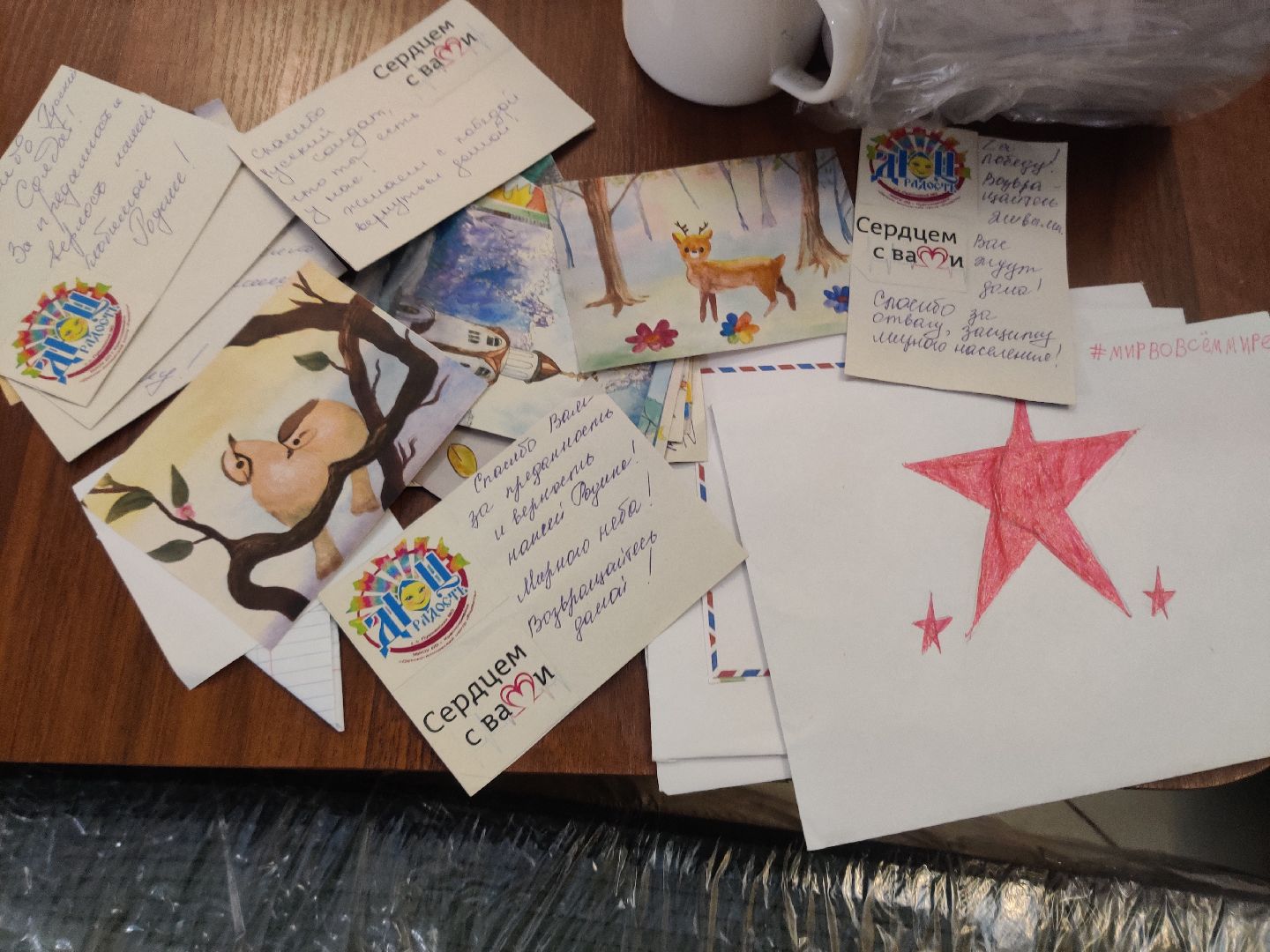 Красноармейск, волонтеры