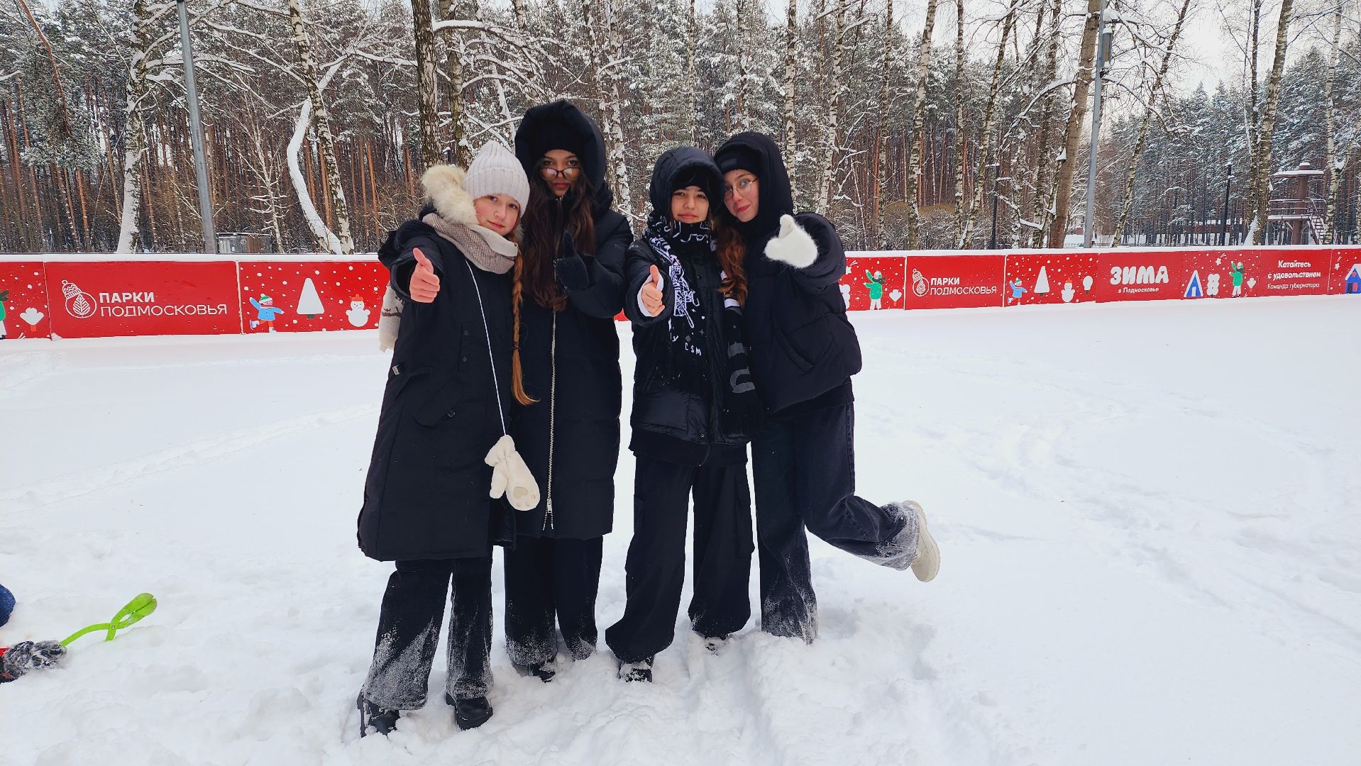 домодедово, подмоксовье, парки подмосковья, резиденция Деда Мороза, письмо Деду Морозу, Новый год, парк Елочки, исполнение желаний, почтовый ящик, усадьба деда Мороза, подарки, письма, московская усадьба, чудеса, волшебство,