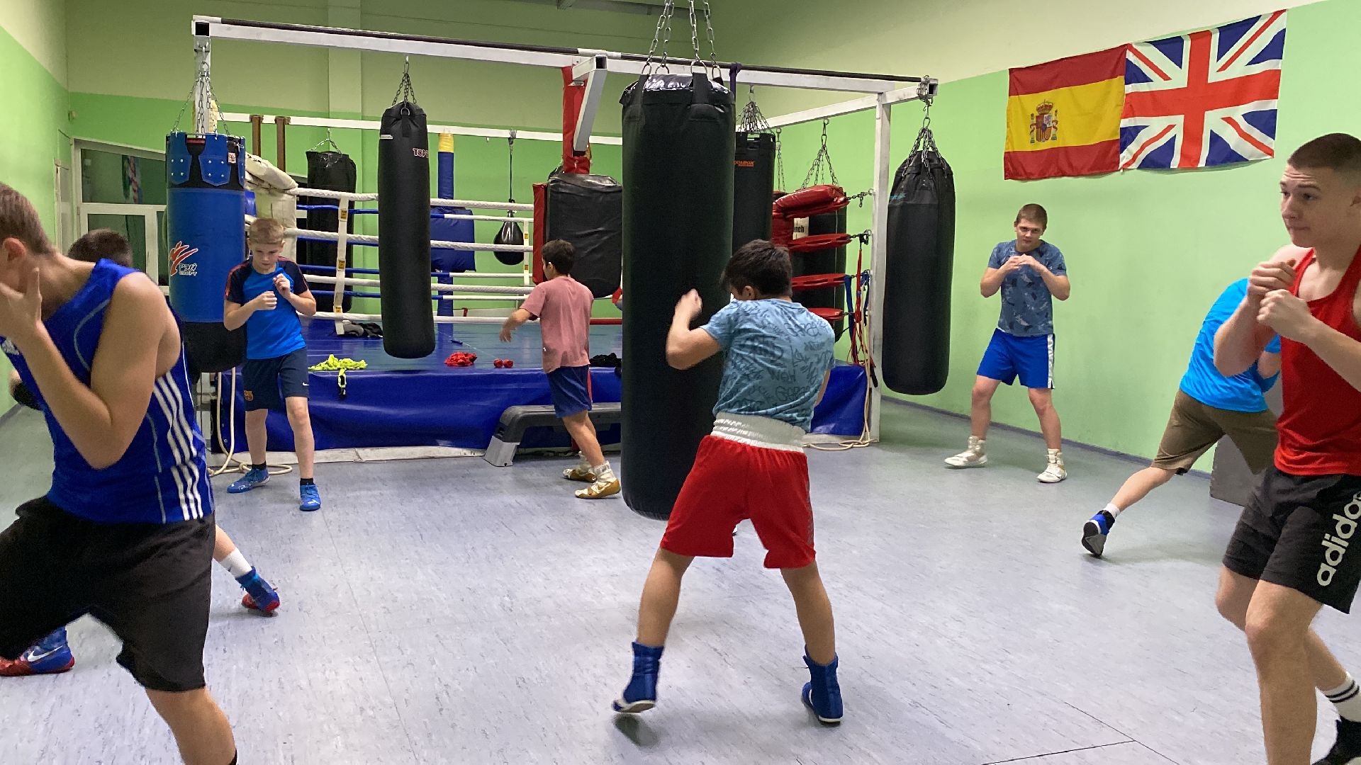 волоколамск, бокс, спорт, спорт подмосковья, спортивная тренировка, соревнования, турнир,