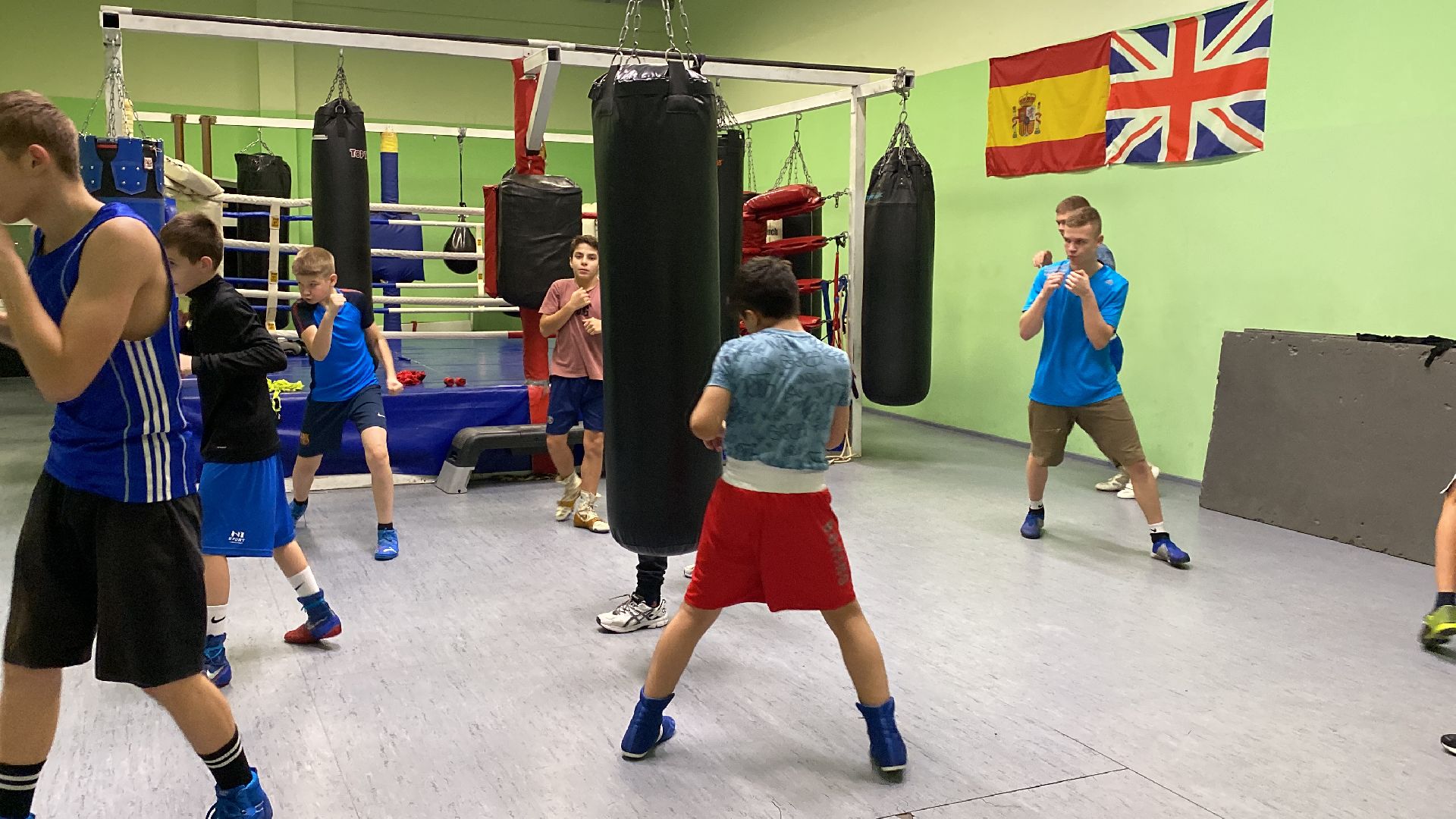 волоколамск, бокс, спорт, спорт подмосковья, спортивная тренировка, соревнования, турнир,