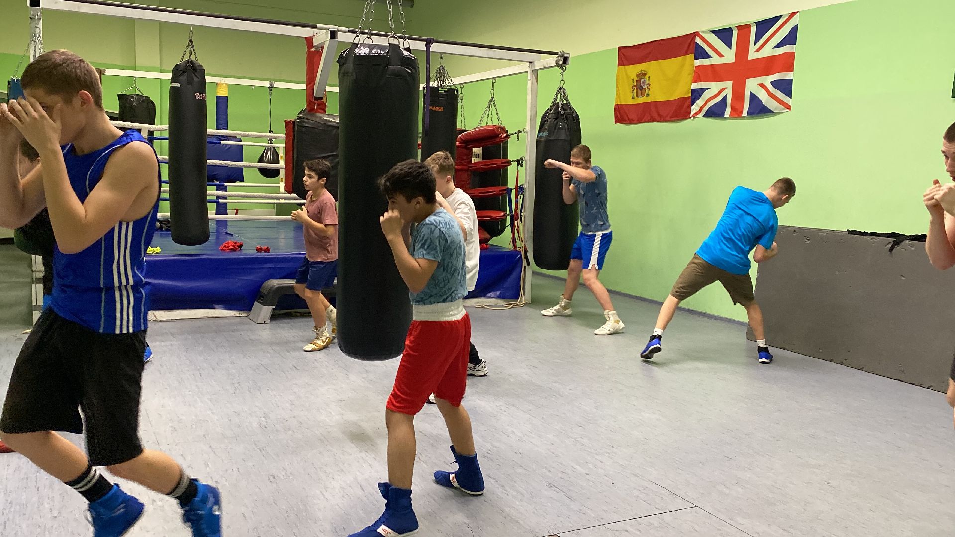 волоколамск, бокс, спорт, спорт подмосковья, спортивная тренировка, соревнования, турнир,