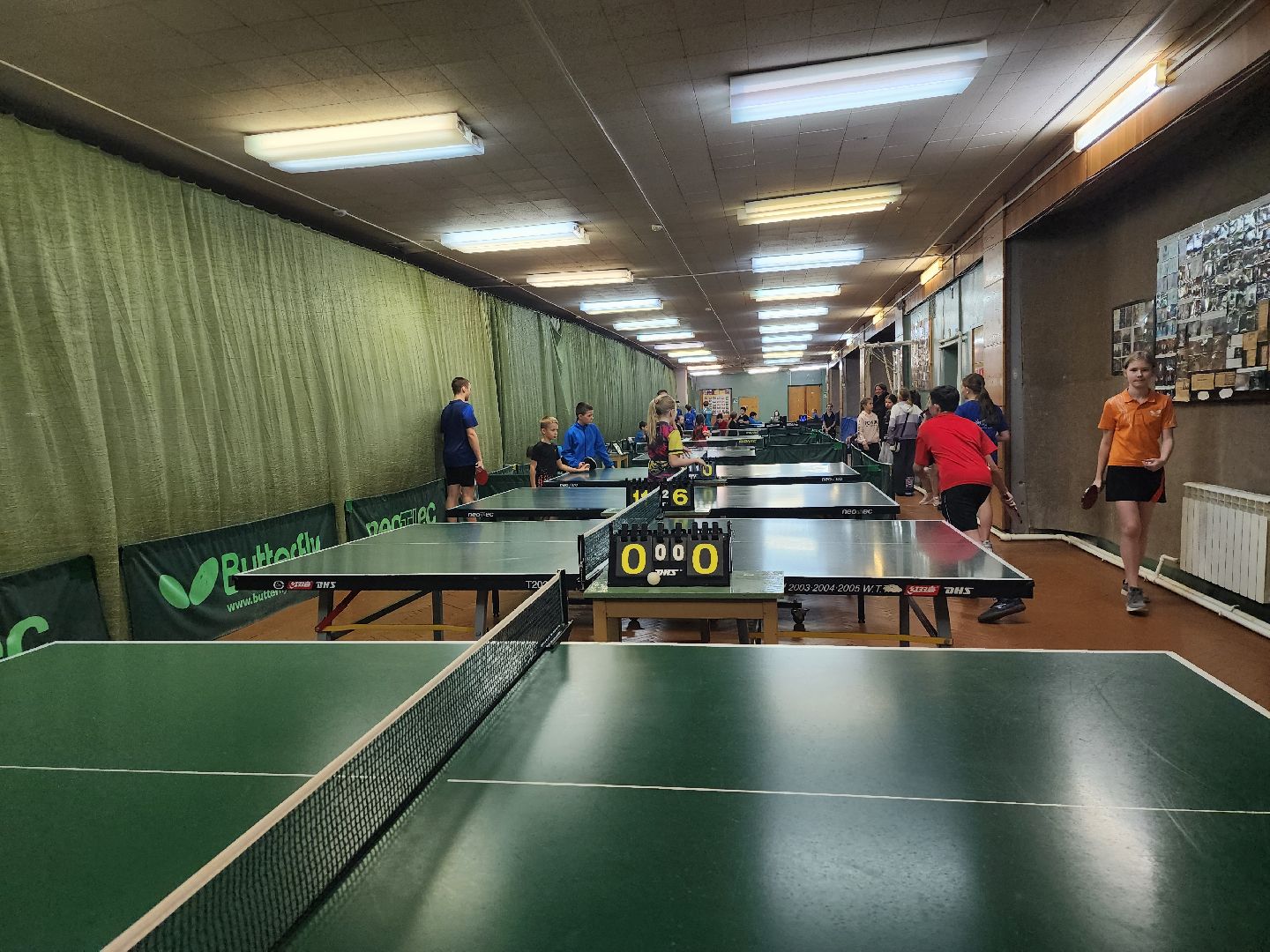 турнир, настольный теннис, день народного единства, Старая Купавна, Богородский городской округ,