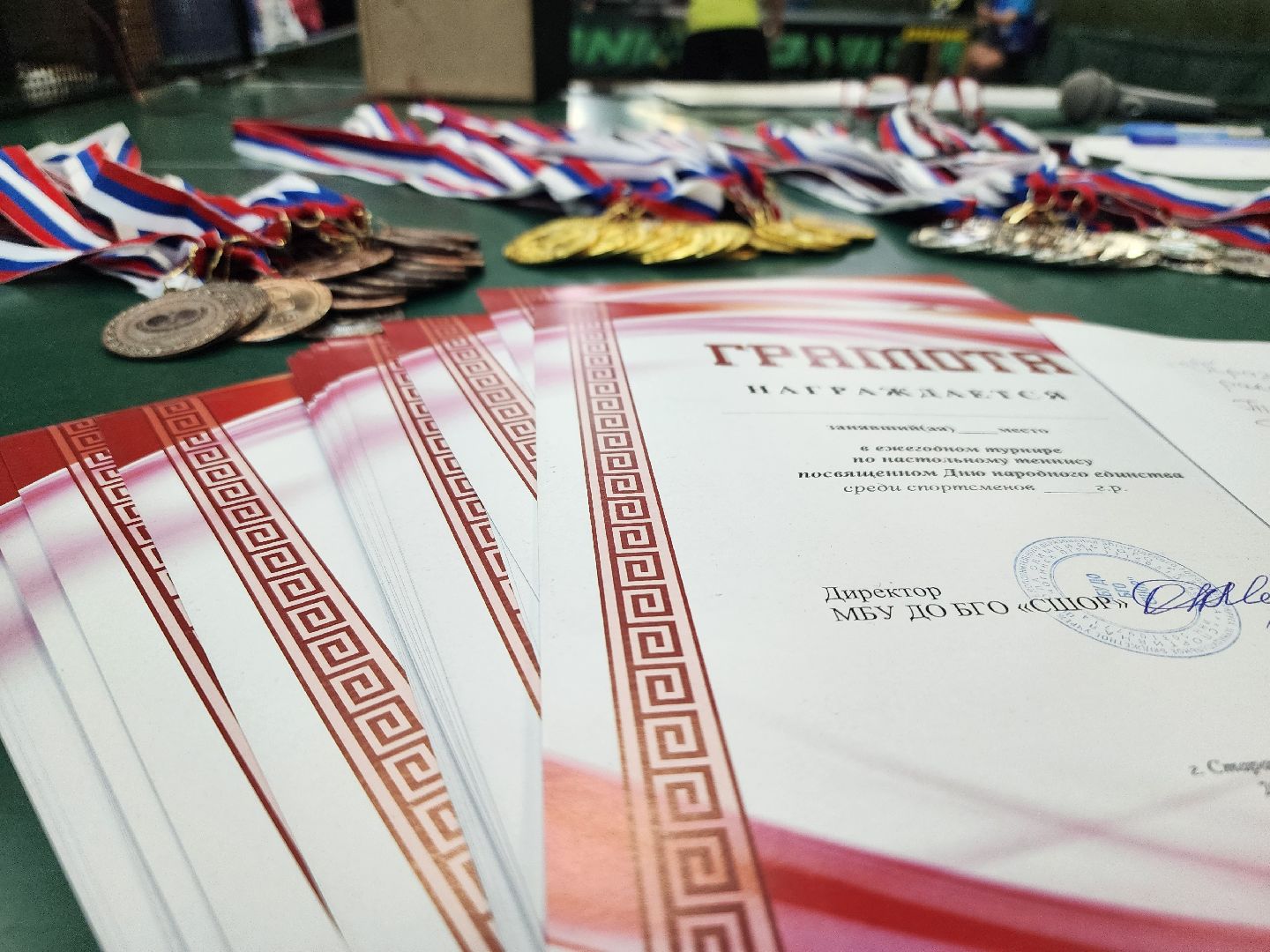 турнир, настольный теннис, день народного единства, Старая Купавна, Богородский городской округ,