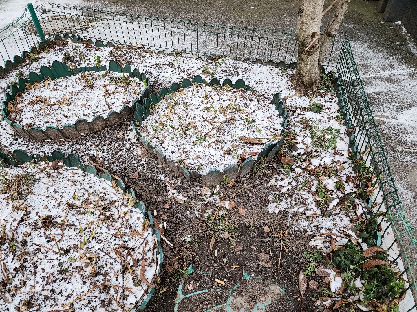 погода, химки, подмоксовье,