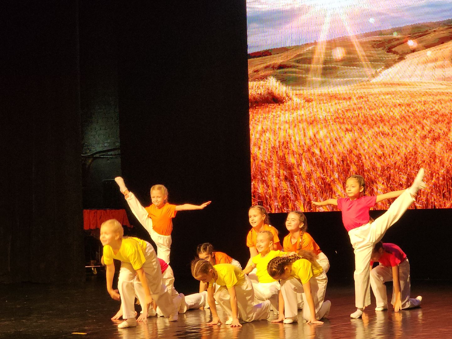 луховицы, сельское хозяйство, праздник,