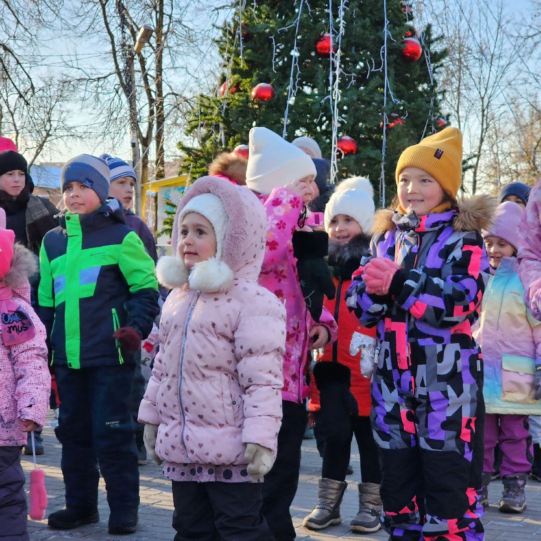 день рождения деда мороза, егорьевск, Подмосковье, московская область,