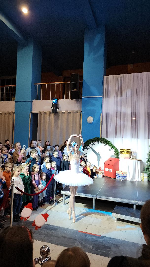 праздник, электросталь, культура, дед мороз, дедушка мороз, день рождения, день рождения деда мороза,