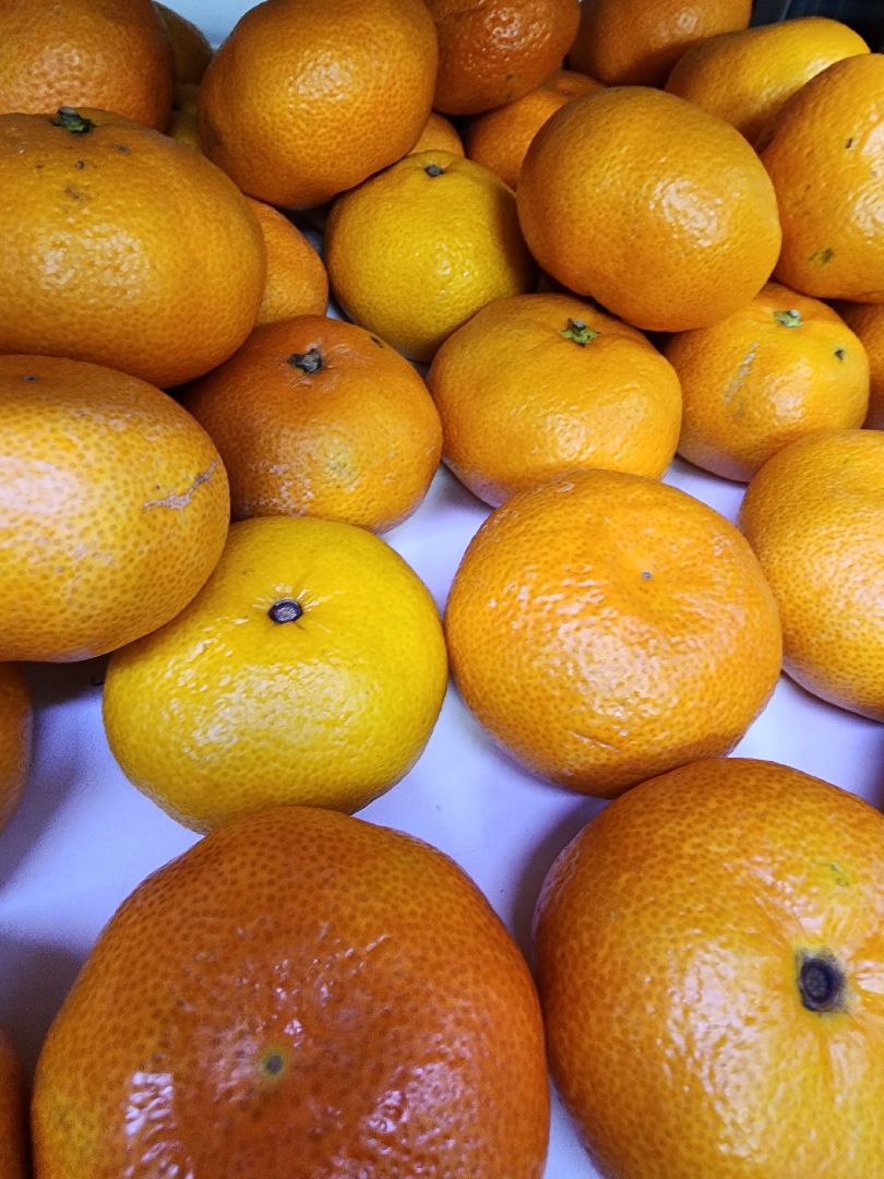 Еда, Химки, Подмосковье,