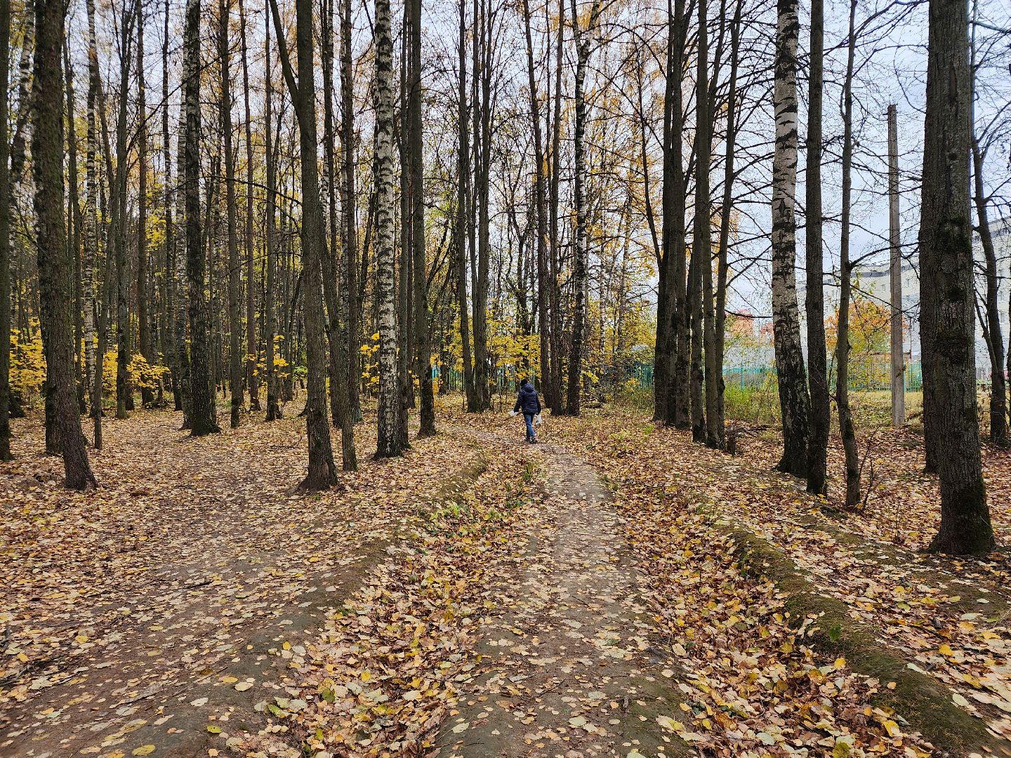 Звенигород, туризм в подмосковье, Лучший в профессии,