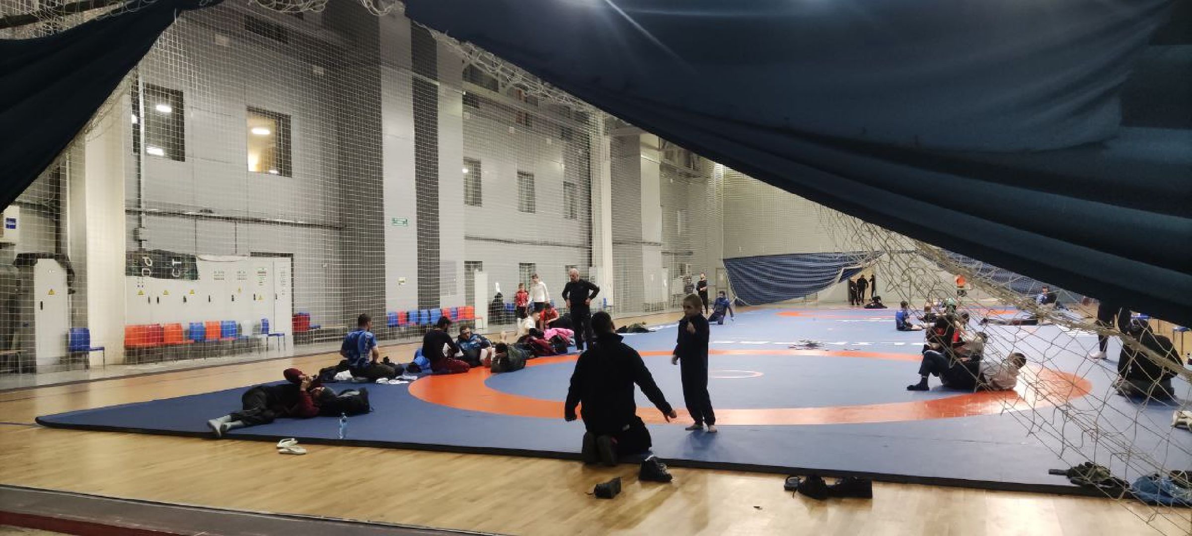 спорт, борьба, чемпионат мира, красногорск,