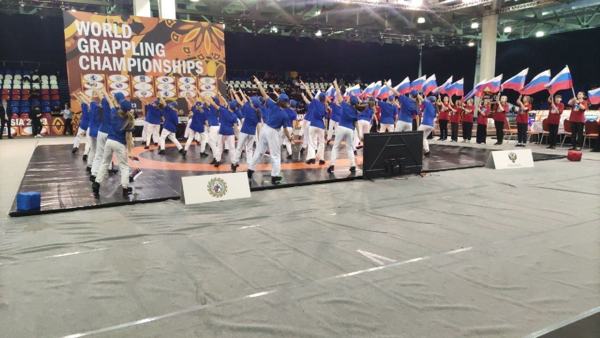 спорт, борьба, чемпионат мира, красногорск,