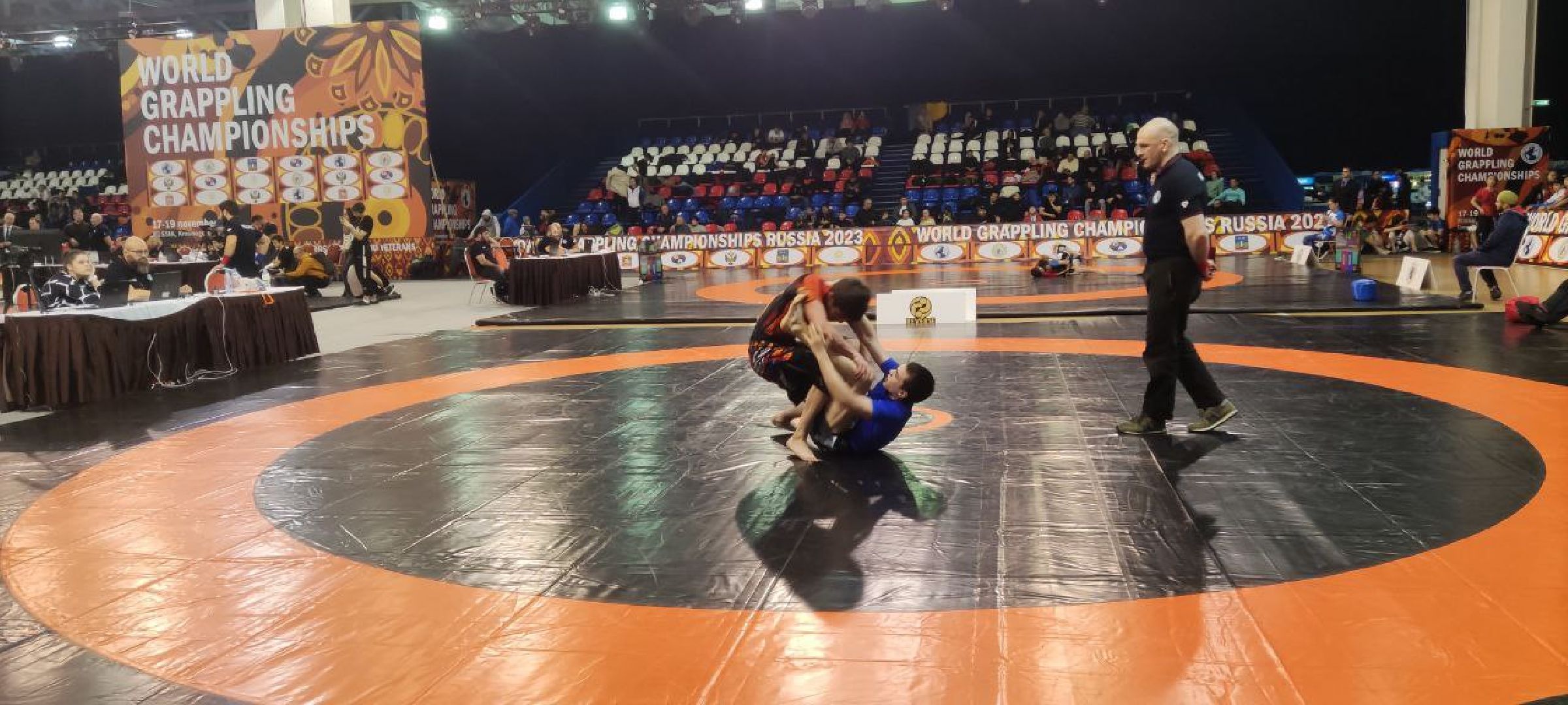 спорт, борьба, чемпионат мира, красногорск,