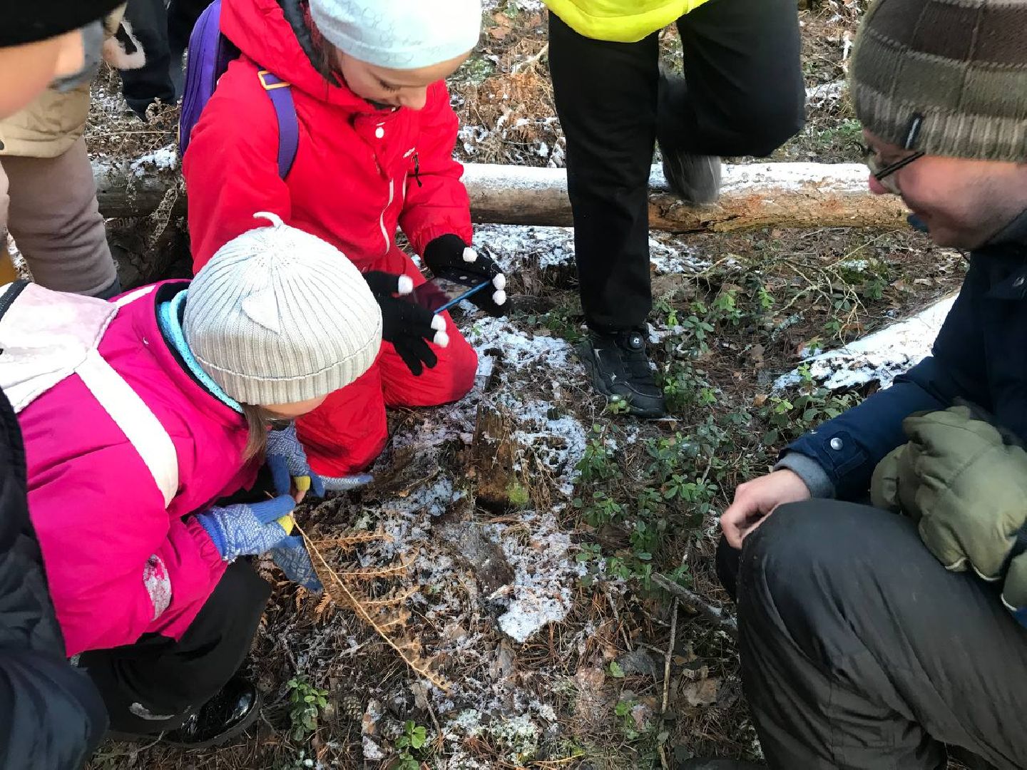 научная слобода, Ворово, Большая Шатура, наука, деевня,