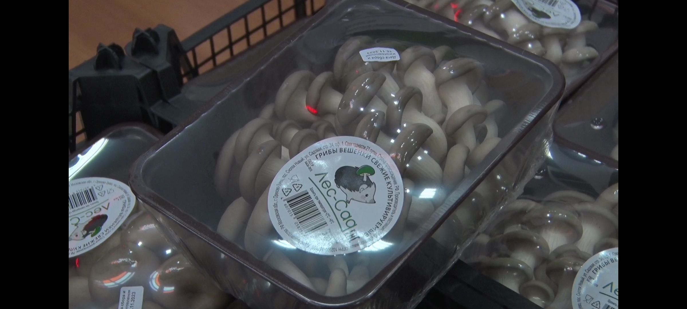 поддержка государства, сельское хозяйство,