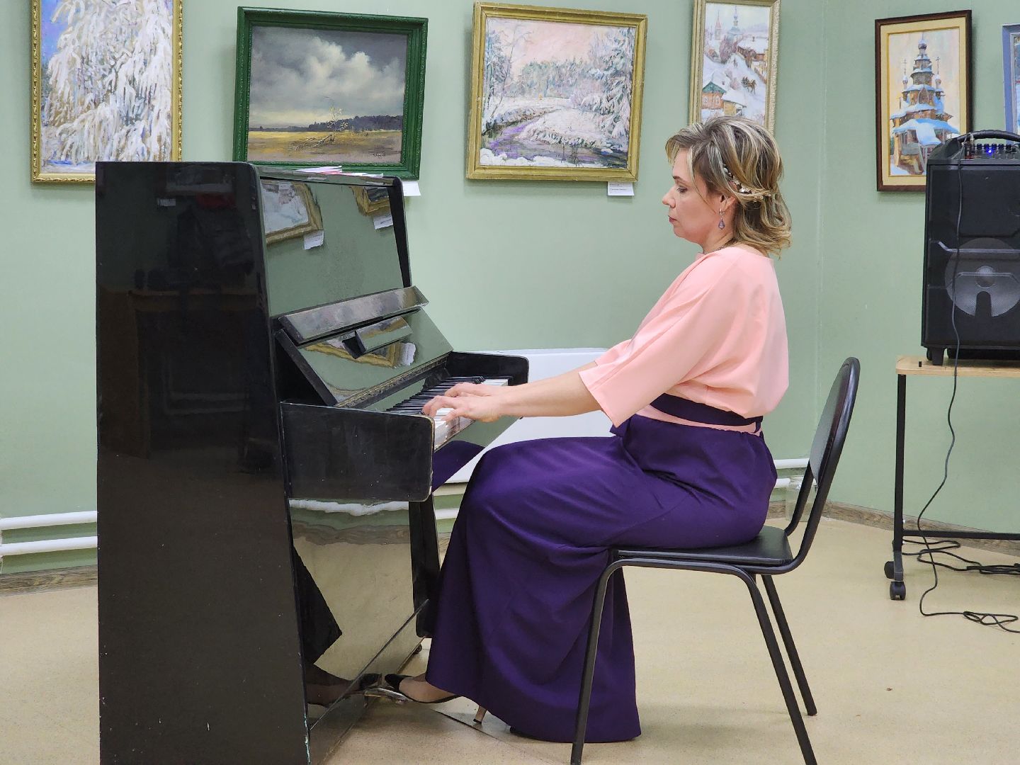 пушкино, концерт, дом художника, артисты,