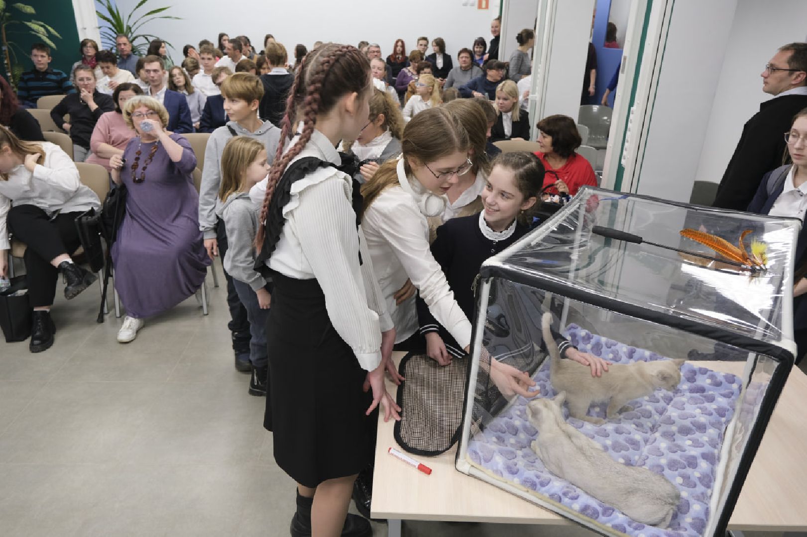 пущино, наука, образование, экология,