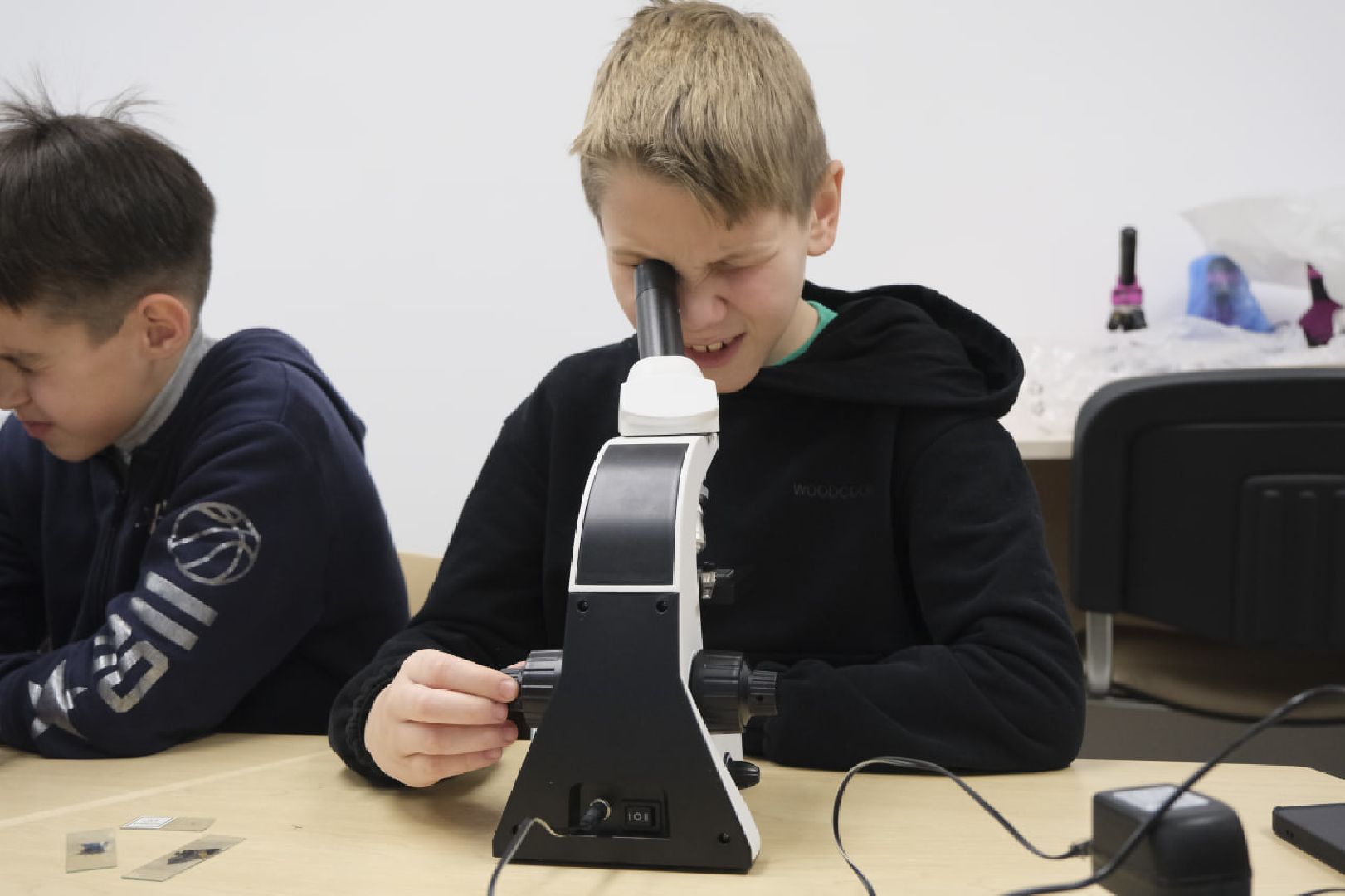 пущино, наука, образование, экология,