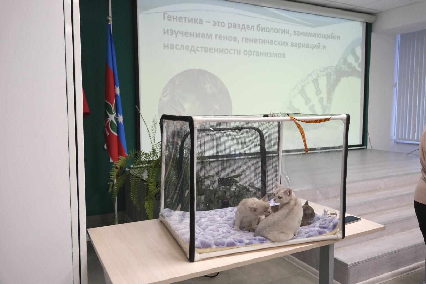 пущино, наука, образование, экология,