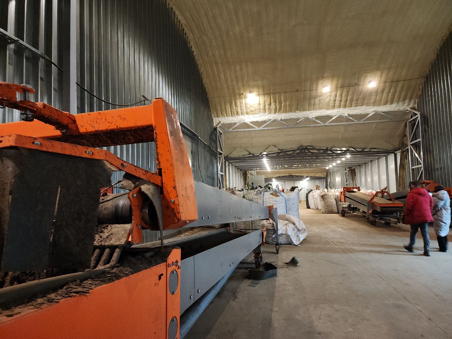 луховицы, сельское хозяйство, овощи,