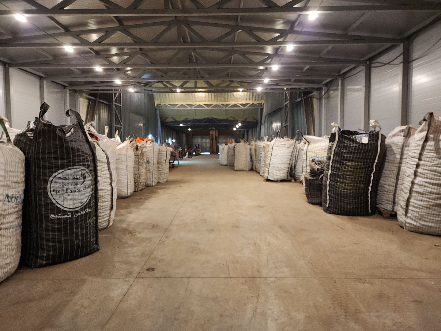 луховицы, сельское хозяйство, овощи,