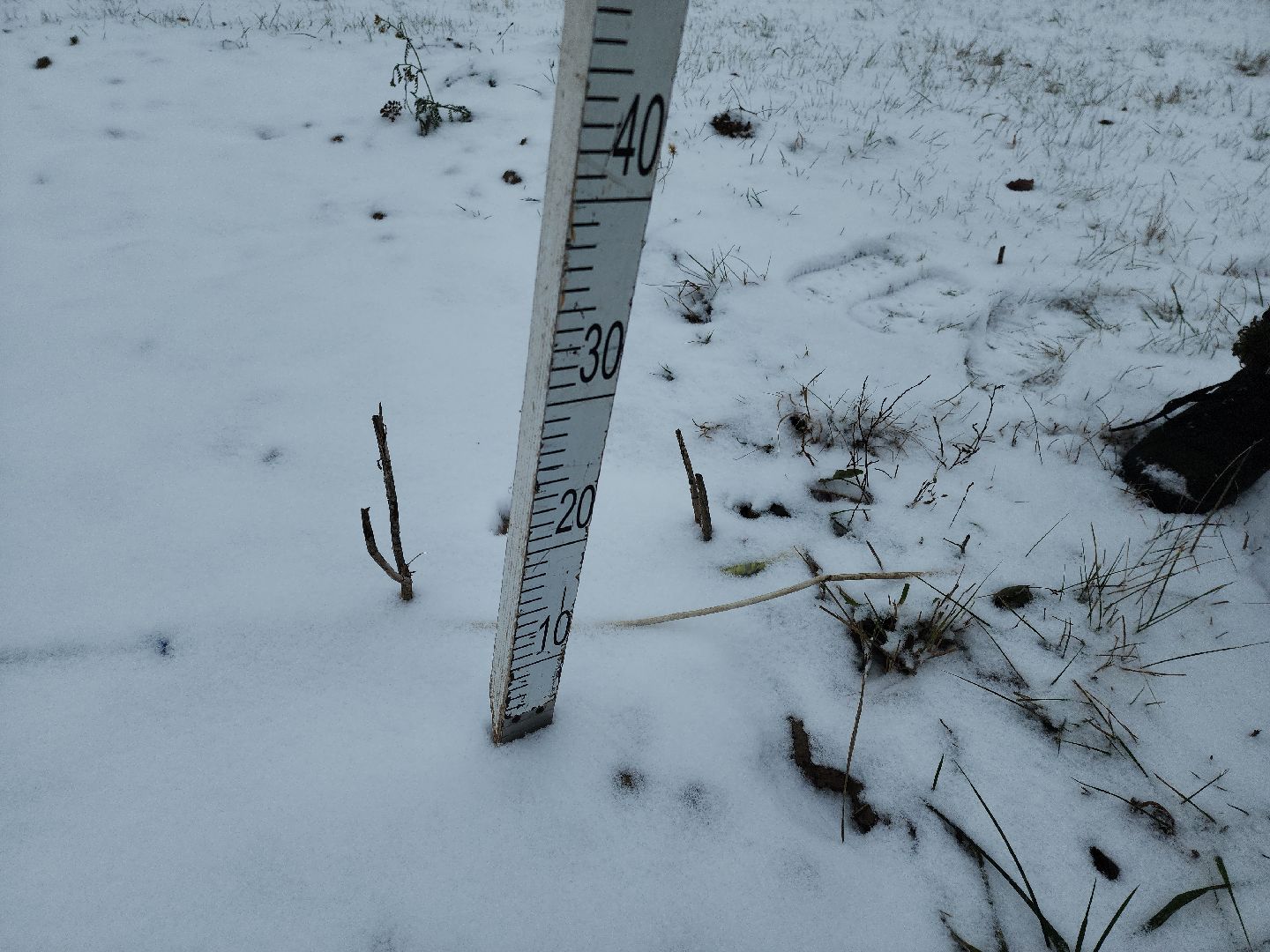 коломна, общество, погода, рекорды,