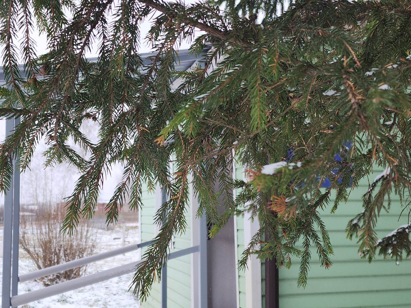 коломна, общество, погода, рекорды,