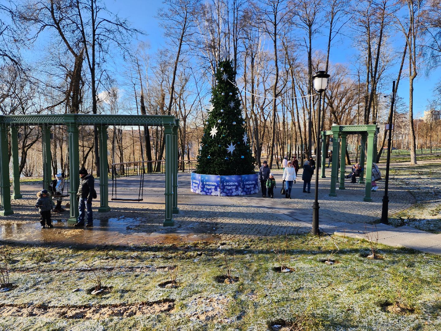 раменское, благоустройство, новогодняя ель в Раменском городском парке,