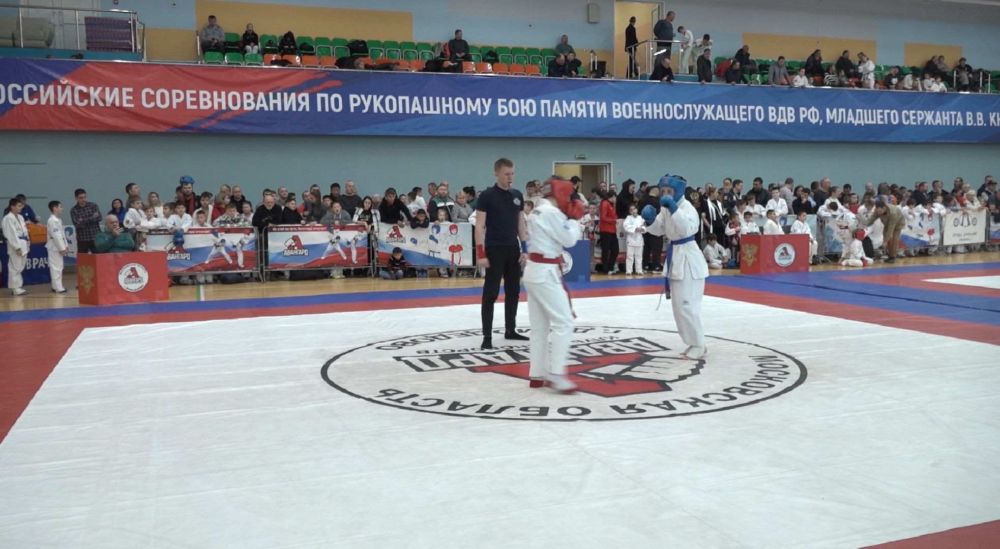 рукопашный бой, Вадим Князев, спорт, Авангард, Домодедово,