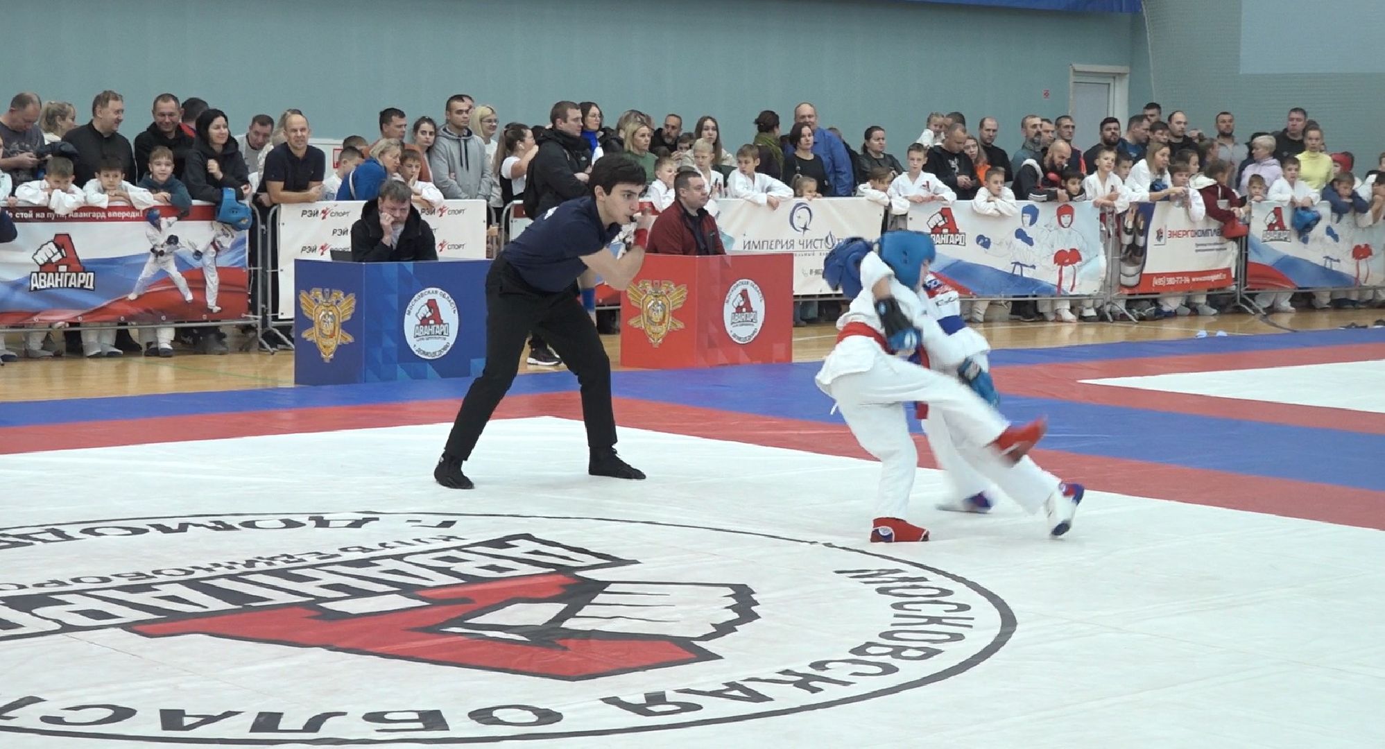 рукопашный бой, Вадим Князев, спорт, Авангард, Домодедово,