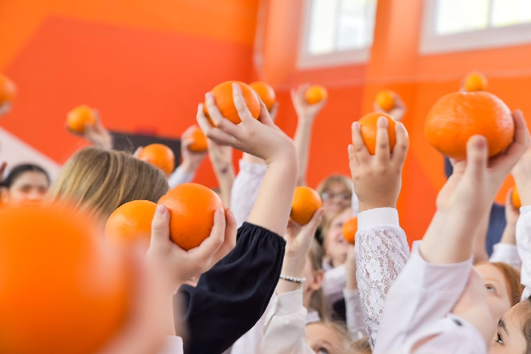 школа, акция, флешмоб