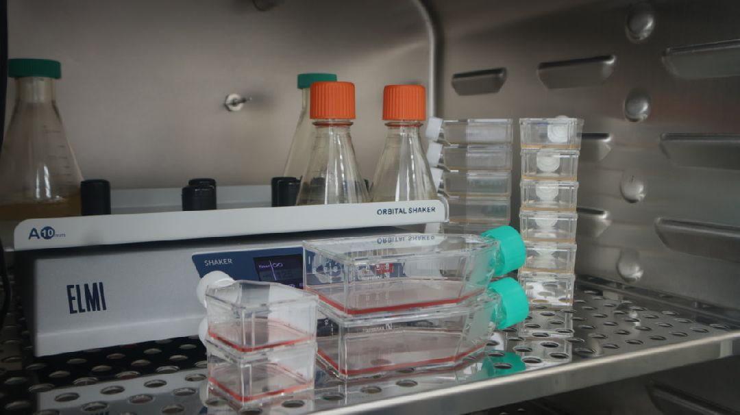 Подмосковье, медицина, вакцина, Пущино, фармацевтика, вакцинация, лекарство