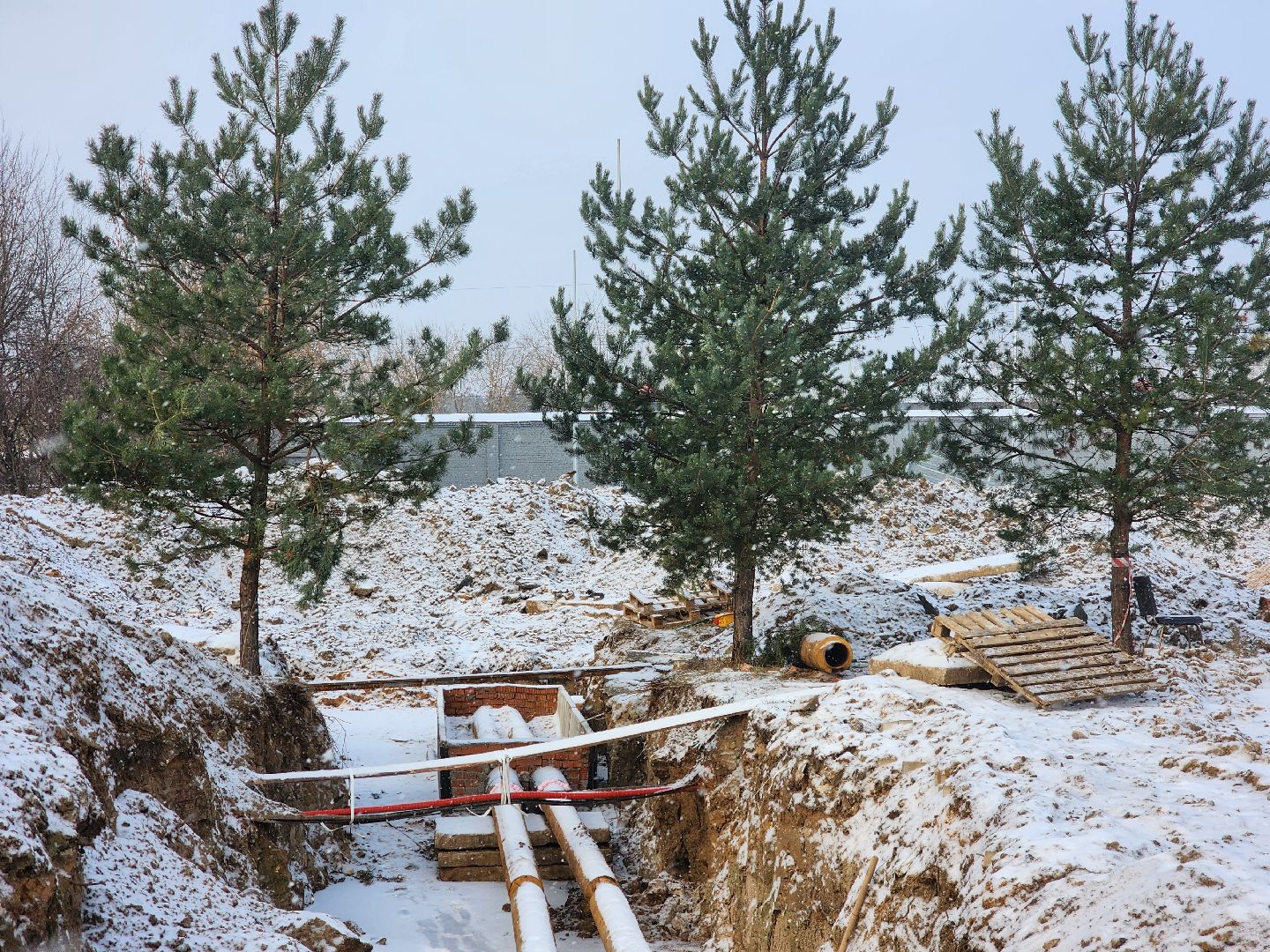 королёв,