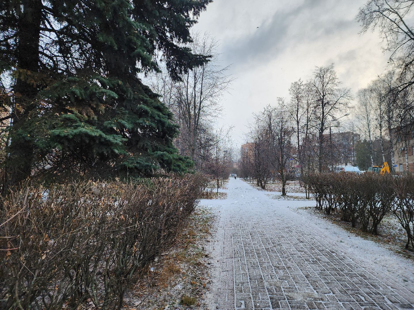 королёв,