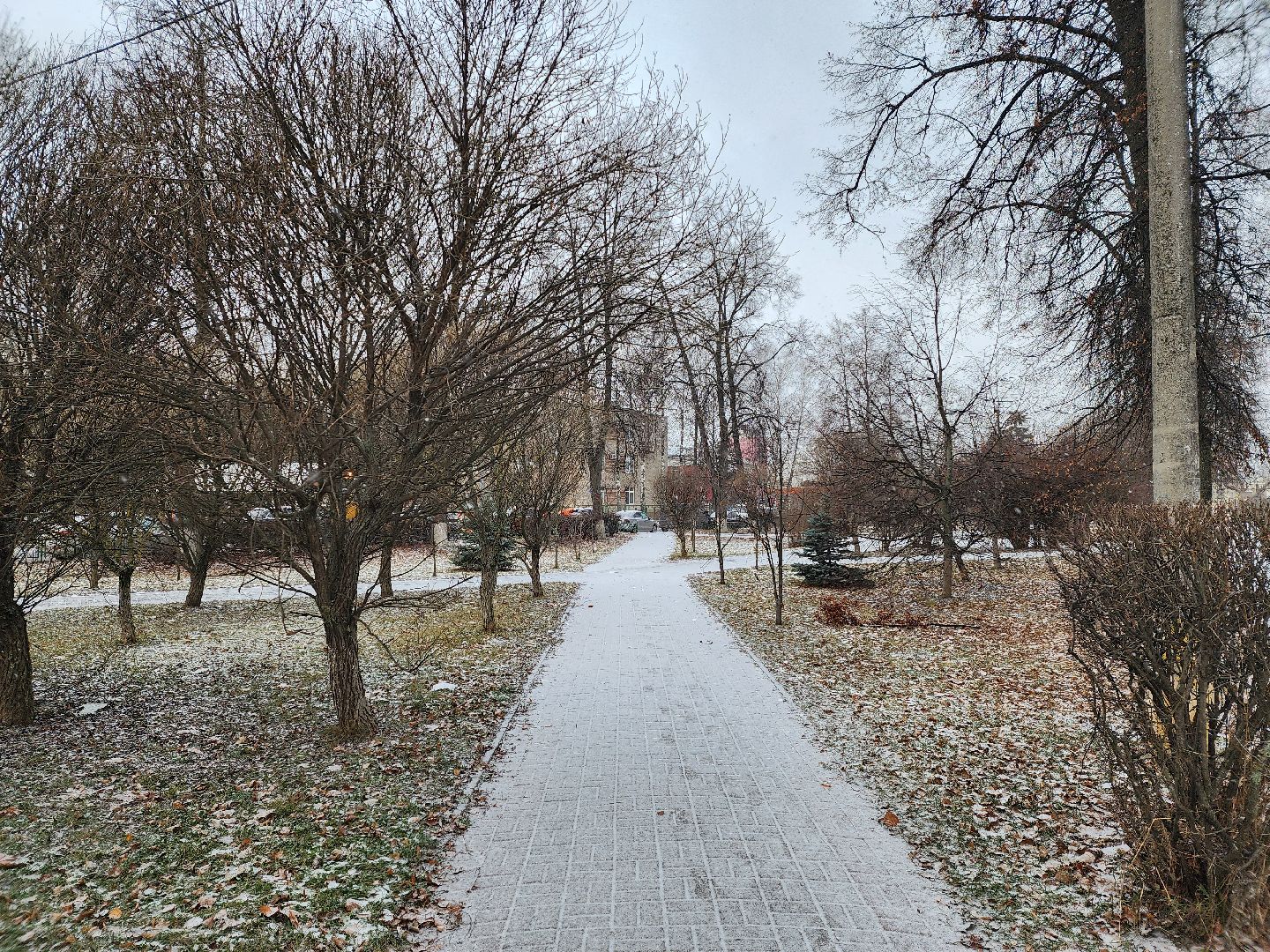 королёв,
