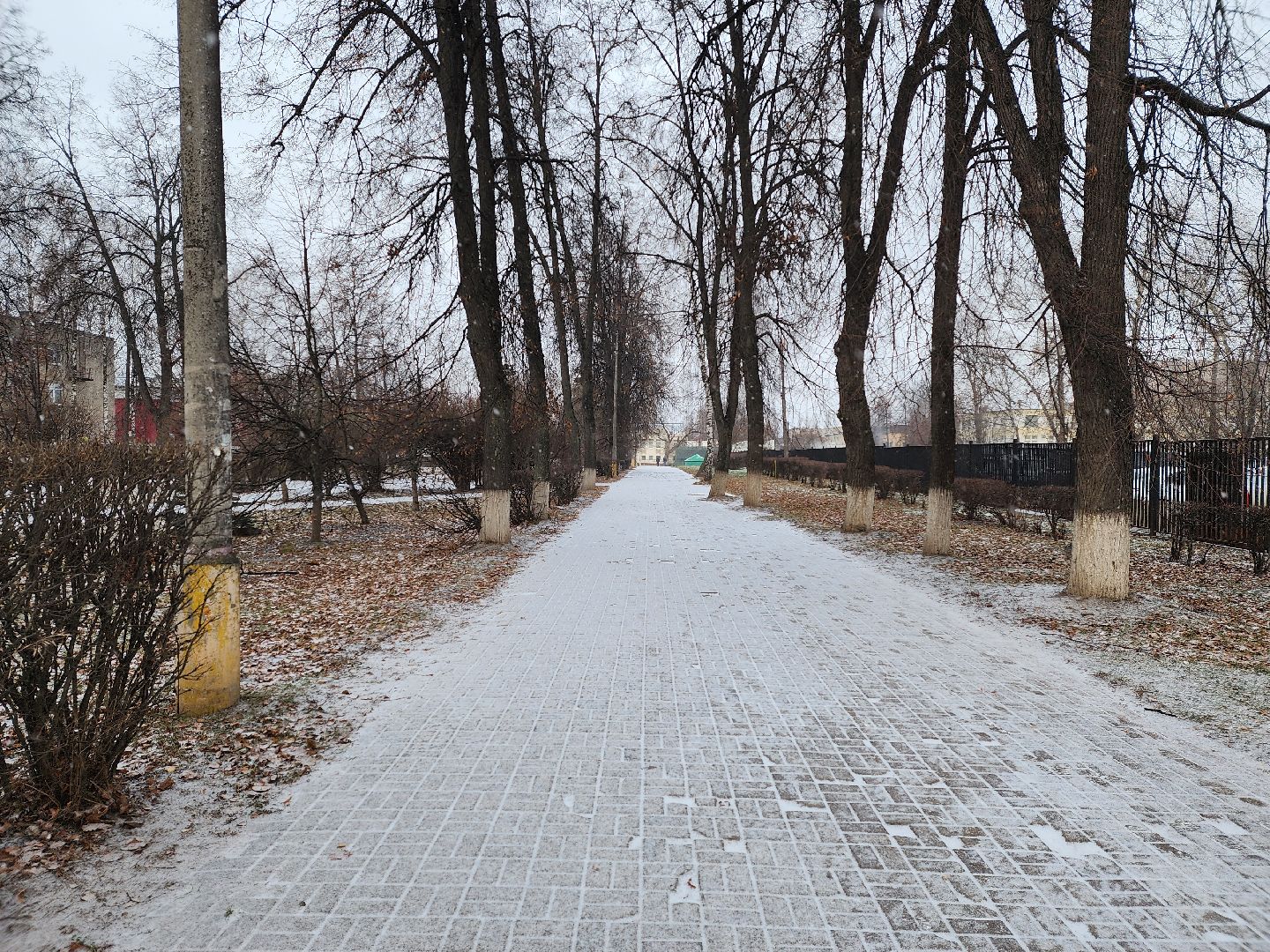 королёв,