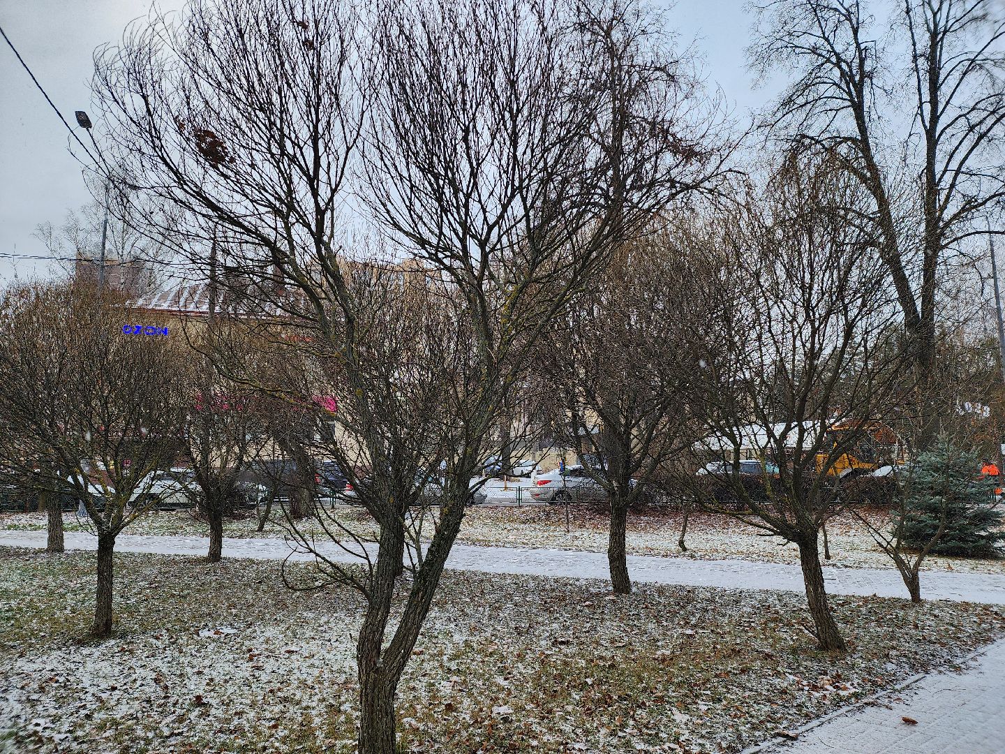 королёв,